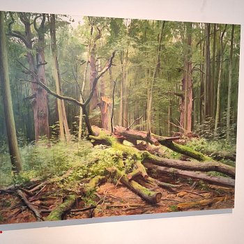 Výstava tří krajinářů