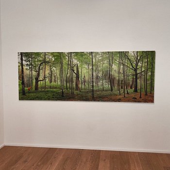 Výstava tří krajinářů