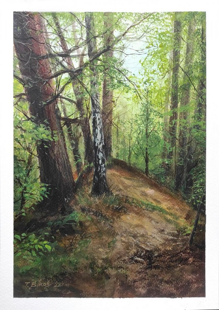 Hodoňovice pískovna